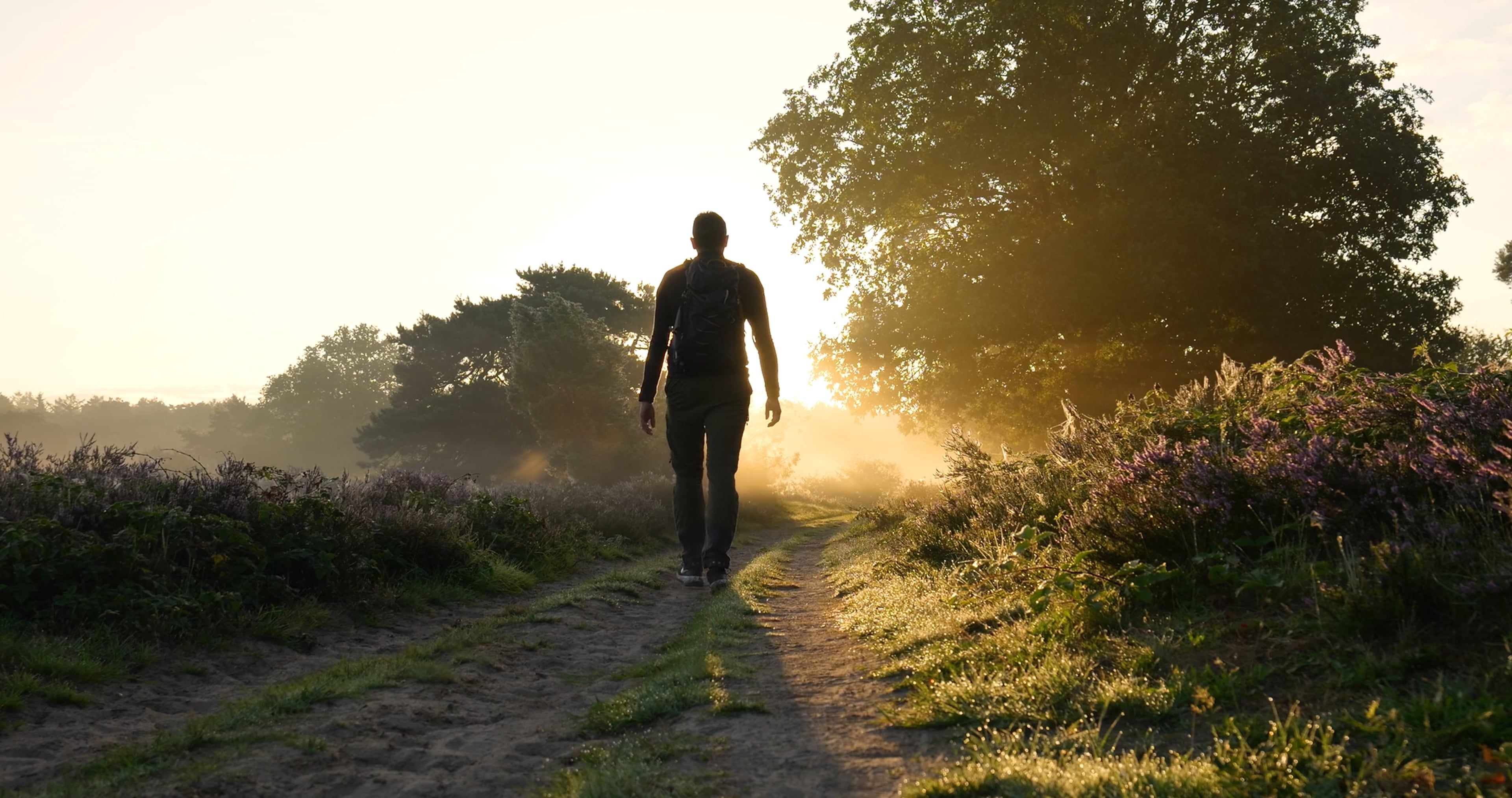 Silhouette of a person walking toward a sunrise